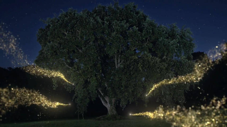 Ferrero Rocher: Magic Tree, Visual Effects: Moving Picture Company