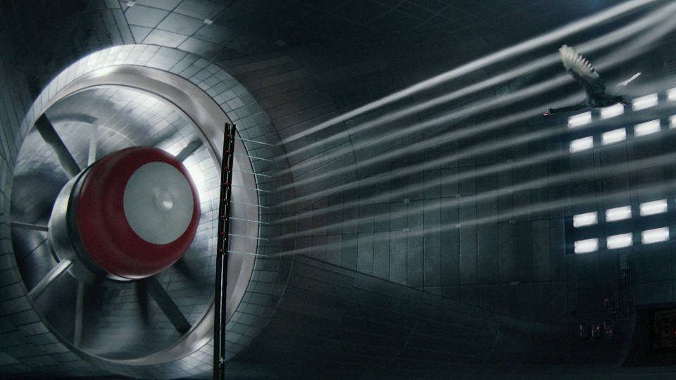 The McLaren 570S: Black Swan Moments, Visual Effects: Moving Picture Company